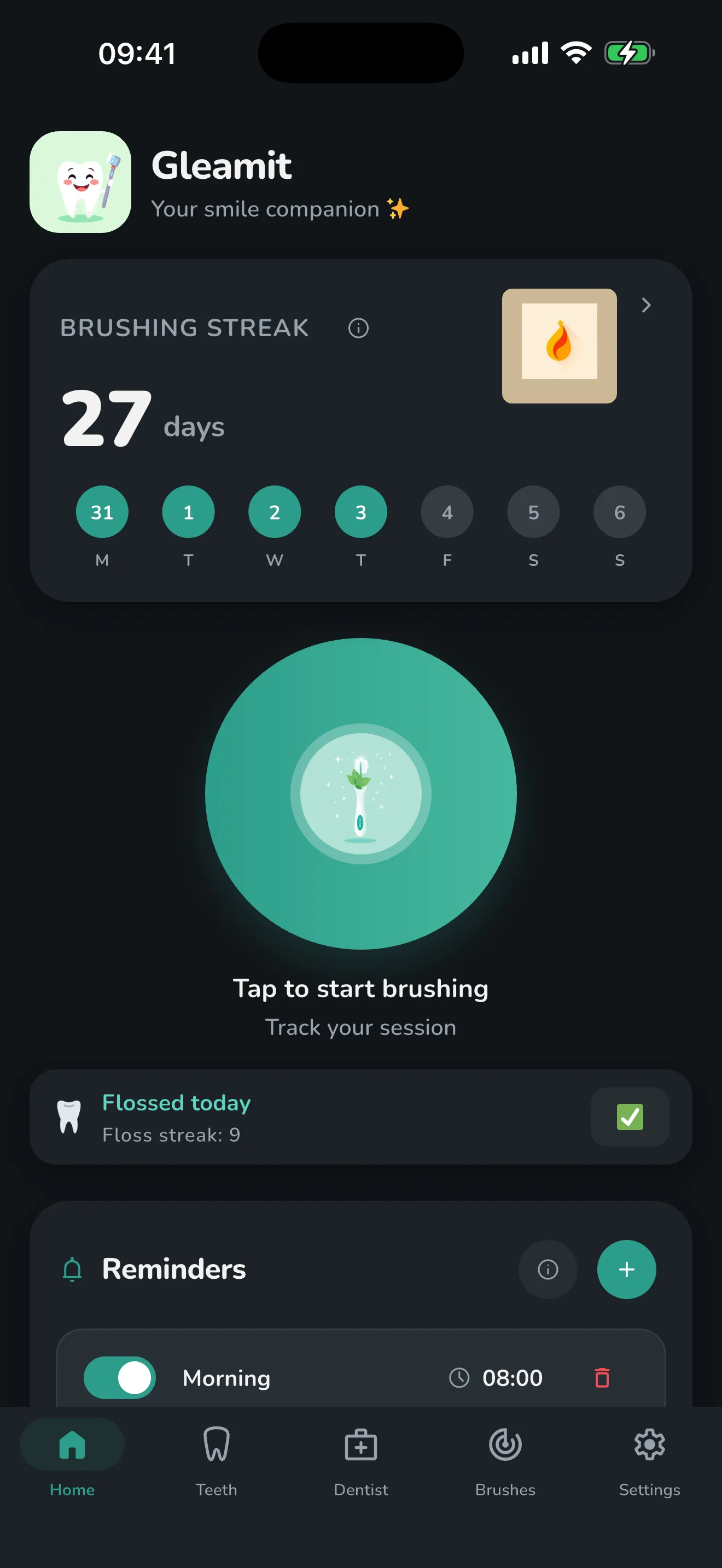The Home tab in dark mode: brushing streak, the timer, a floss card and reminders